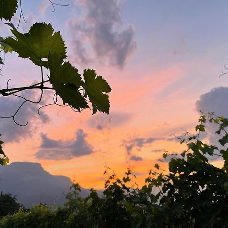 Pension Etschblick B&B Frangarto ภายนอก รูปภาพ