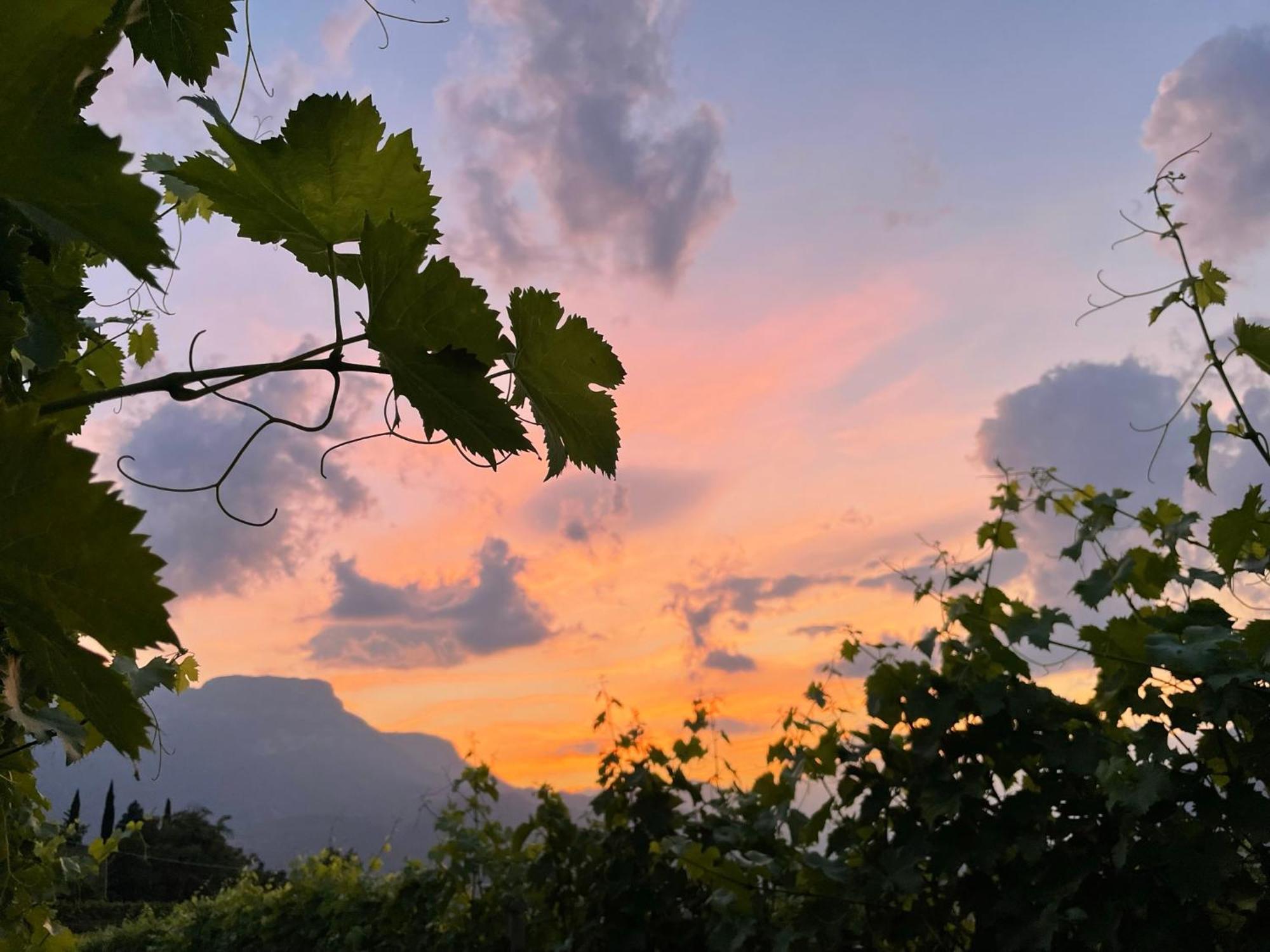 Pension Etschblick B&B Frangarto ภายนอก รูปภาพ