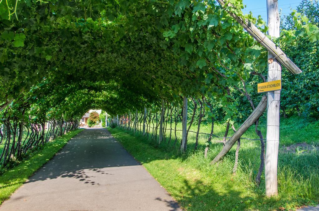 Pension Etschblick B&B Frangarto ภายนอก รูปภาพ